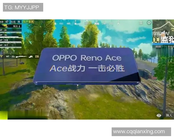 和平精英战术解析：TES战队如何构建高效反击体系与战术配合