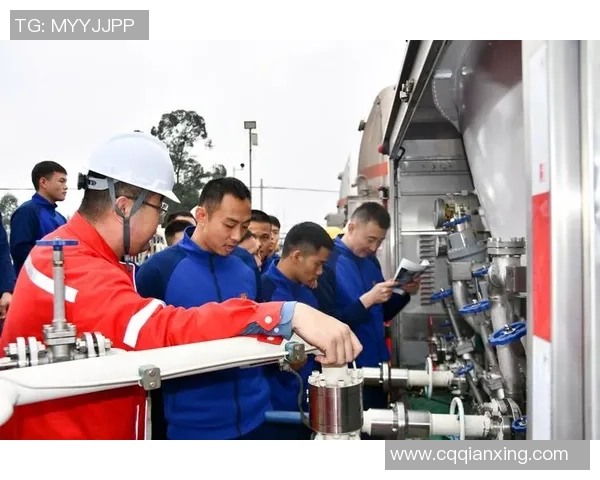 专业解析LNG盯防策略的关键要素与实战应用分析